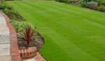 3d lawn